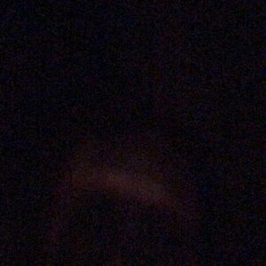 Meet your Posher, Abigayle